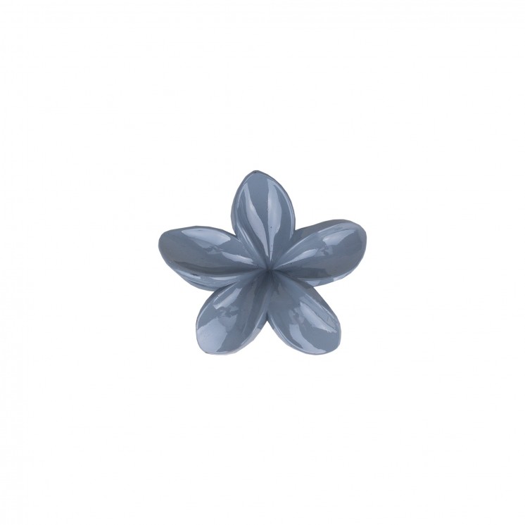 ШНОЛА - JS13073