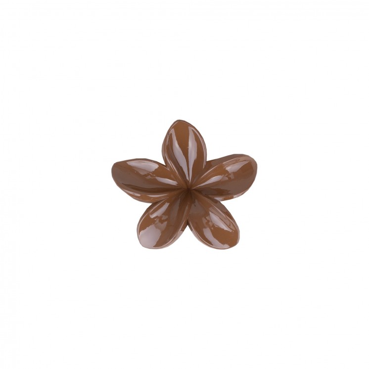 ШНОЛА - JS13073