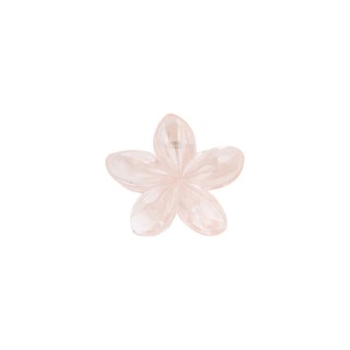 ШНОЛА - JS13073