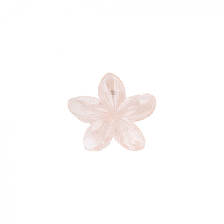 ШНОЛА - JS13073