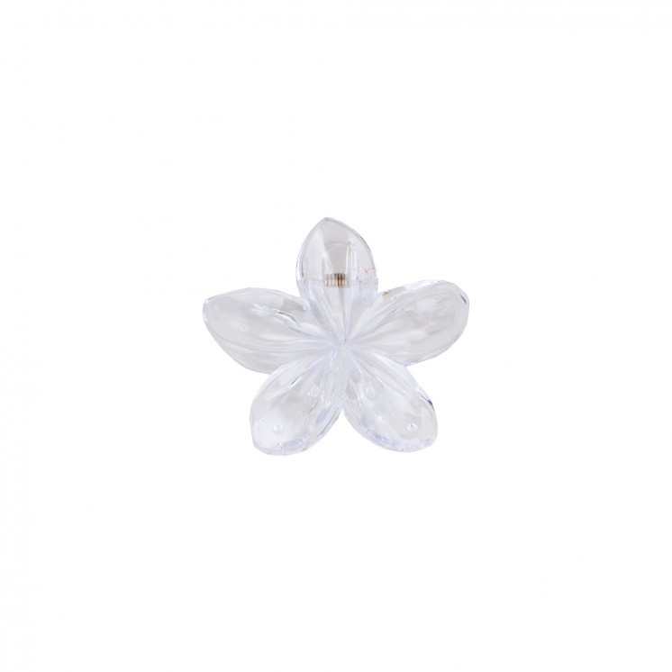 ШНОЛА - JS13073