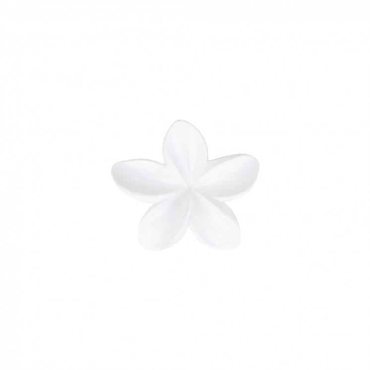 ШНОЛА - JS13073