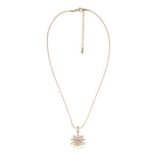 ЛАНЧЕ - JS13504