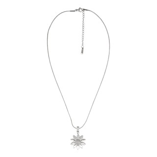 ЛАНЧЕ - JS13504