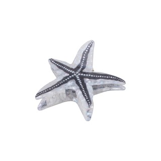 ШНОЛА - JS13705