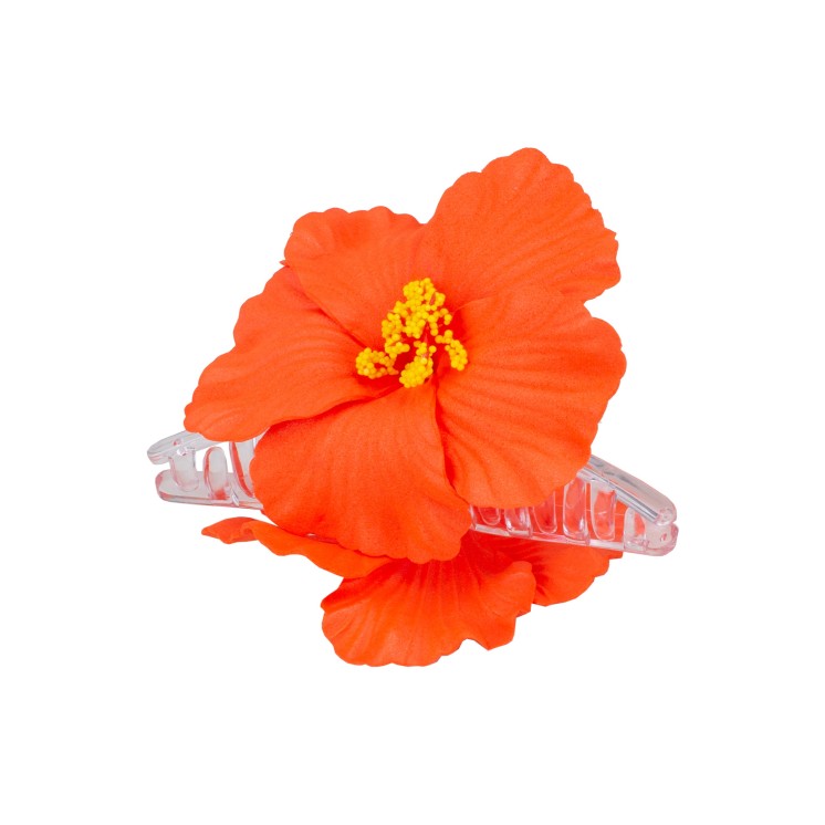 ШНОЛА - JS13687