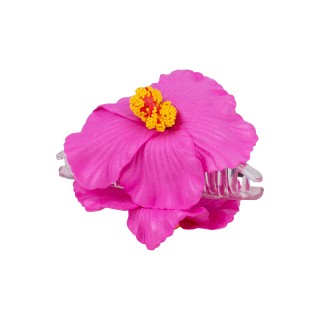 ШНОЛА - JS13687