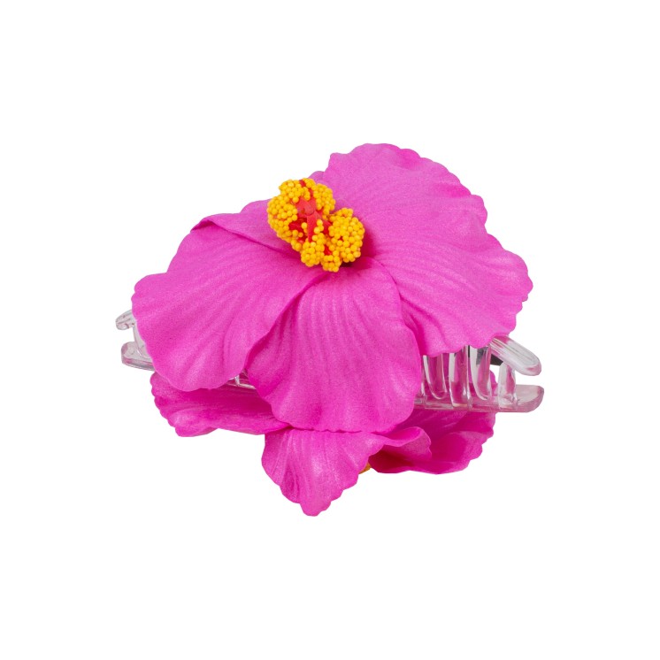 ШНОЛА - JS13687