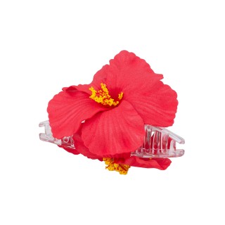 ШНОЛА - JS13687