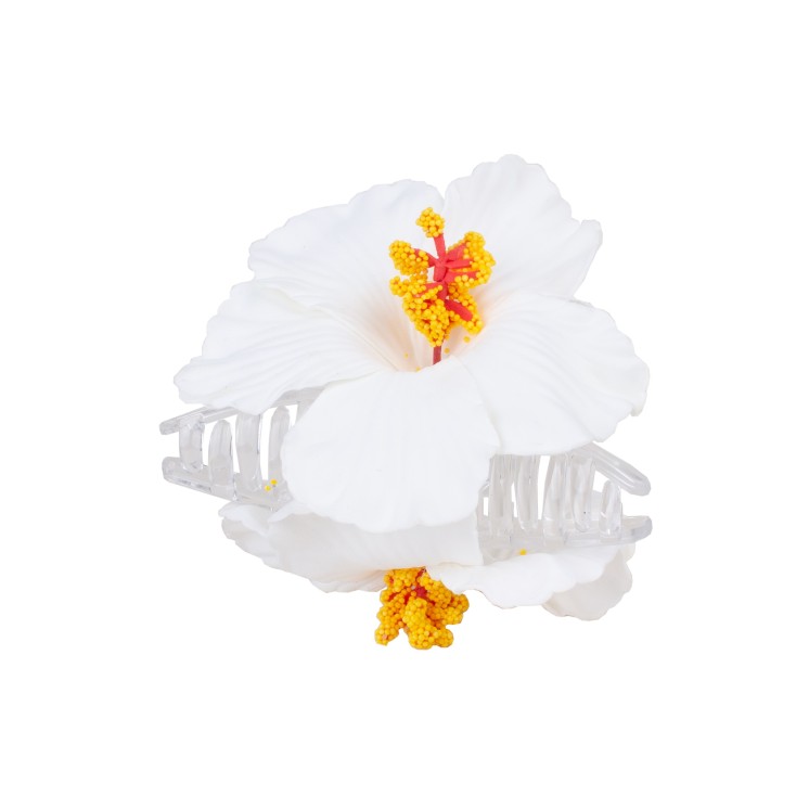 ШНОЛА - JS13687