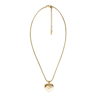 ЛАНЧЕ - JS12202