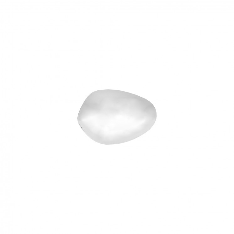 ШНОЛА - JS12601