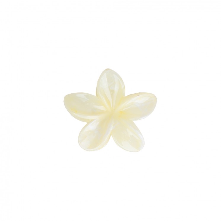 ШНОЛА - JS12615