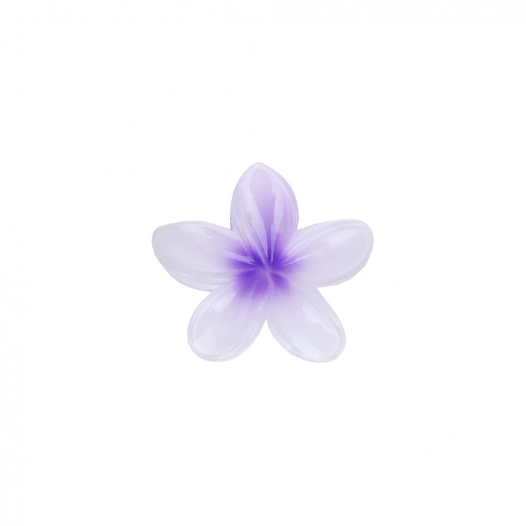 ШНОЛА - JS12616