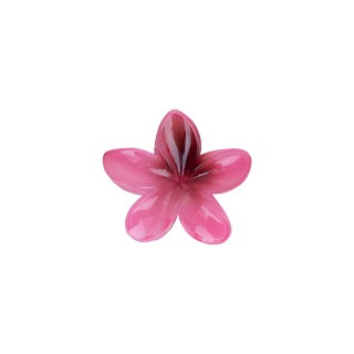 ШНОЛА - JS12616