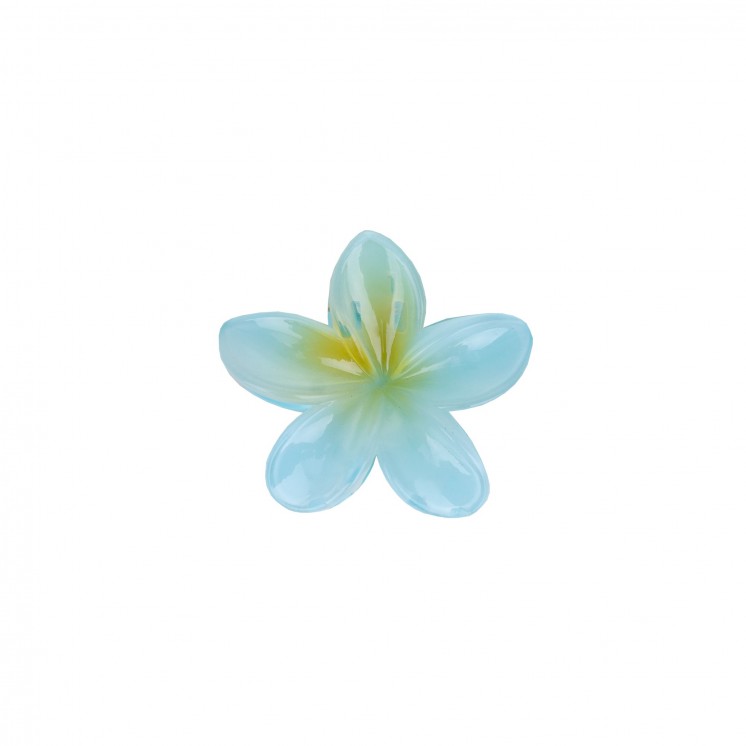 ШНОЛА - JS12616