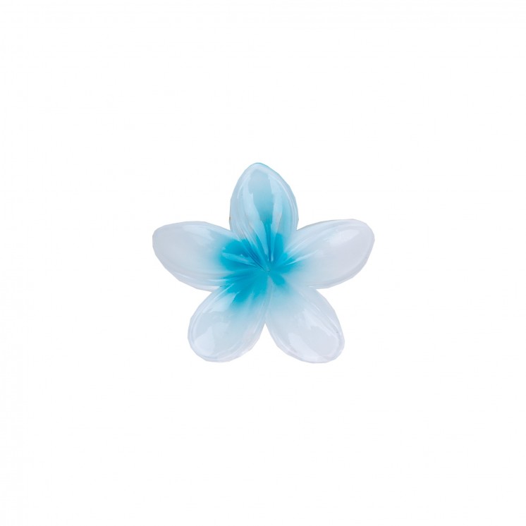 ШНОЛА - JS12616