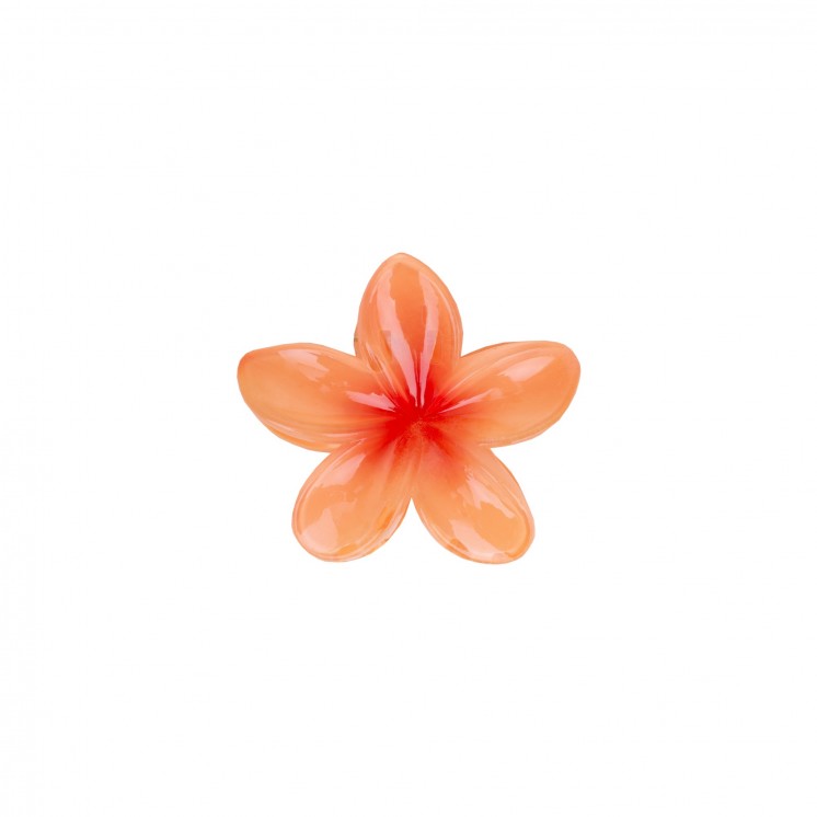 ШНОЛА - JS12616