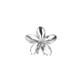 ШНОЛА - JS12644