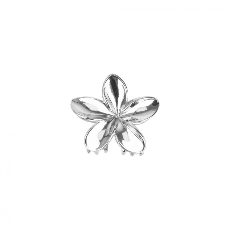 ШНОЛА - JS12644